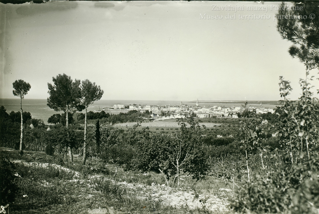 Image description